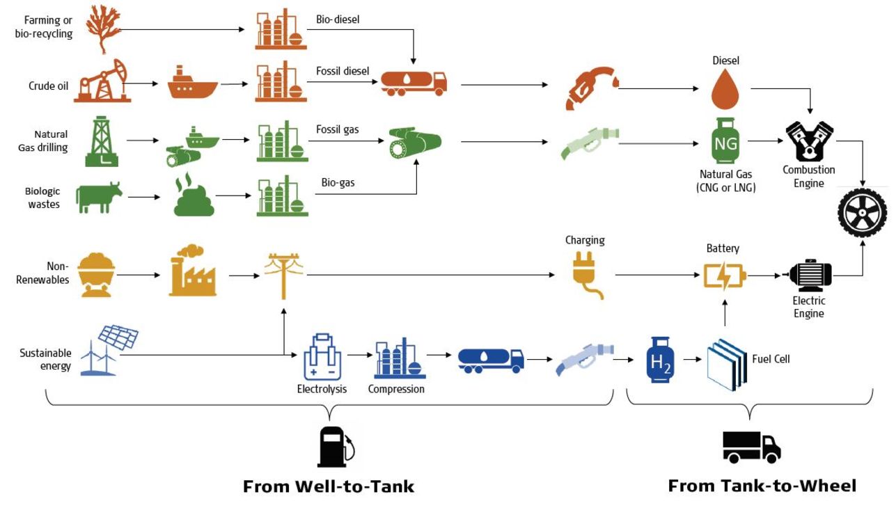 2020.06, WelltoWheel Insights