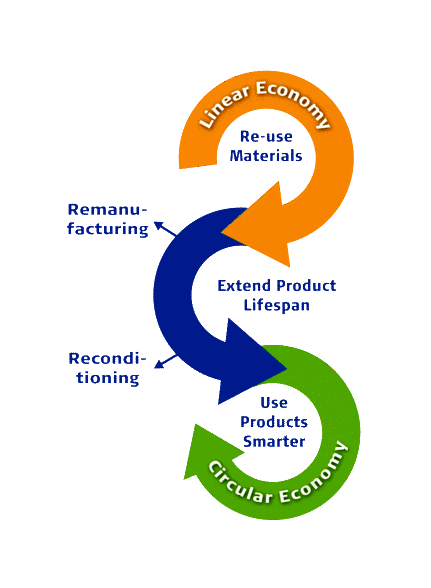 Dinex - Linear vs. Circular Economy