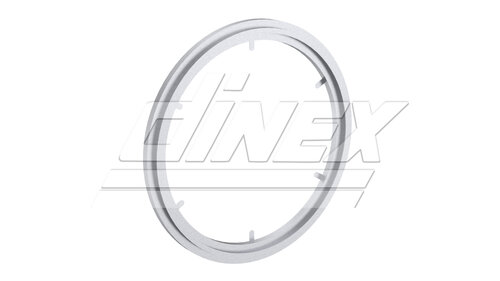 Exhaust Gasket for MAN