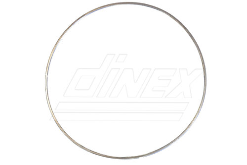 Exhaust Gasket