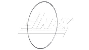 Exhaust Gasket for Iveco