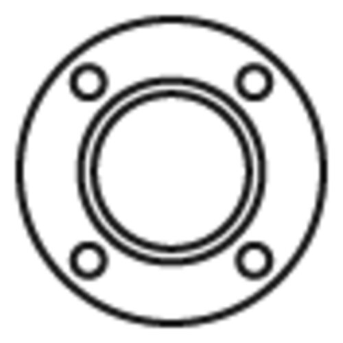 Gasket for Iveco