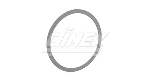 Support ring pour 2AI005