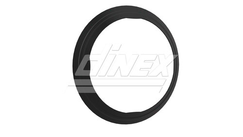 Exhaust Gasket for DAF