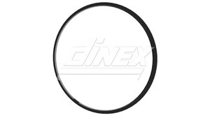 Gasket for MAN